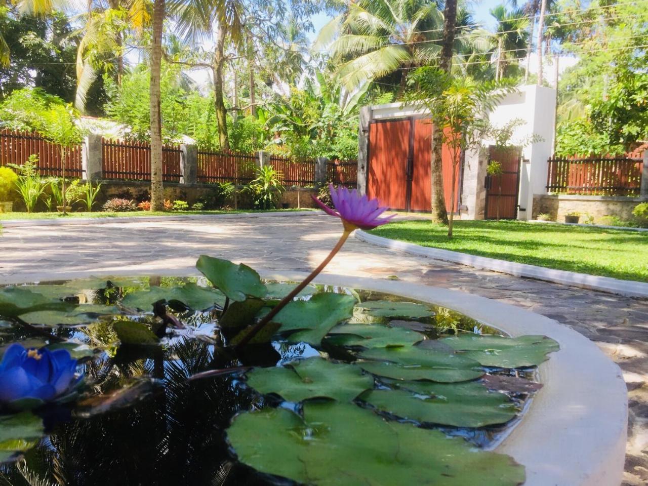 Casa Blanca Hotel Ahangama Bagian luar foto