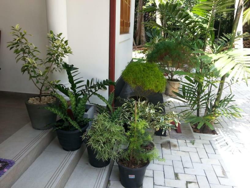 Casa Blanca Hotel Ahangama Bagian luar foto